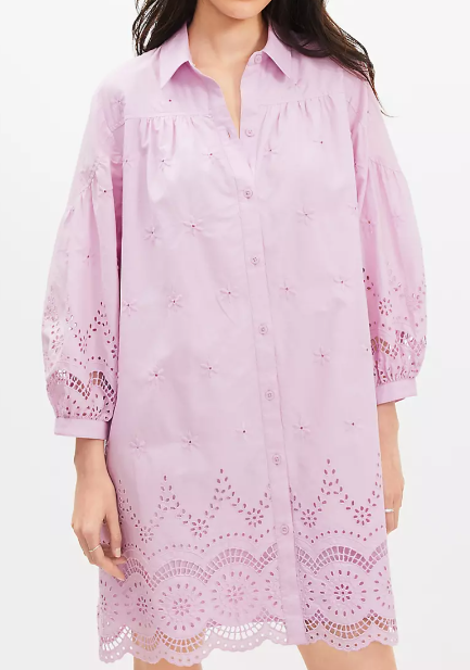 Chic Eyelet Shirt Dress